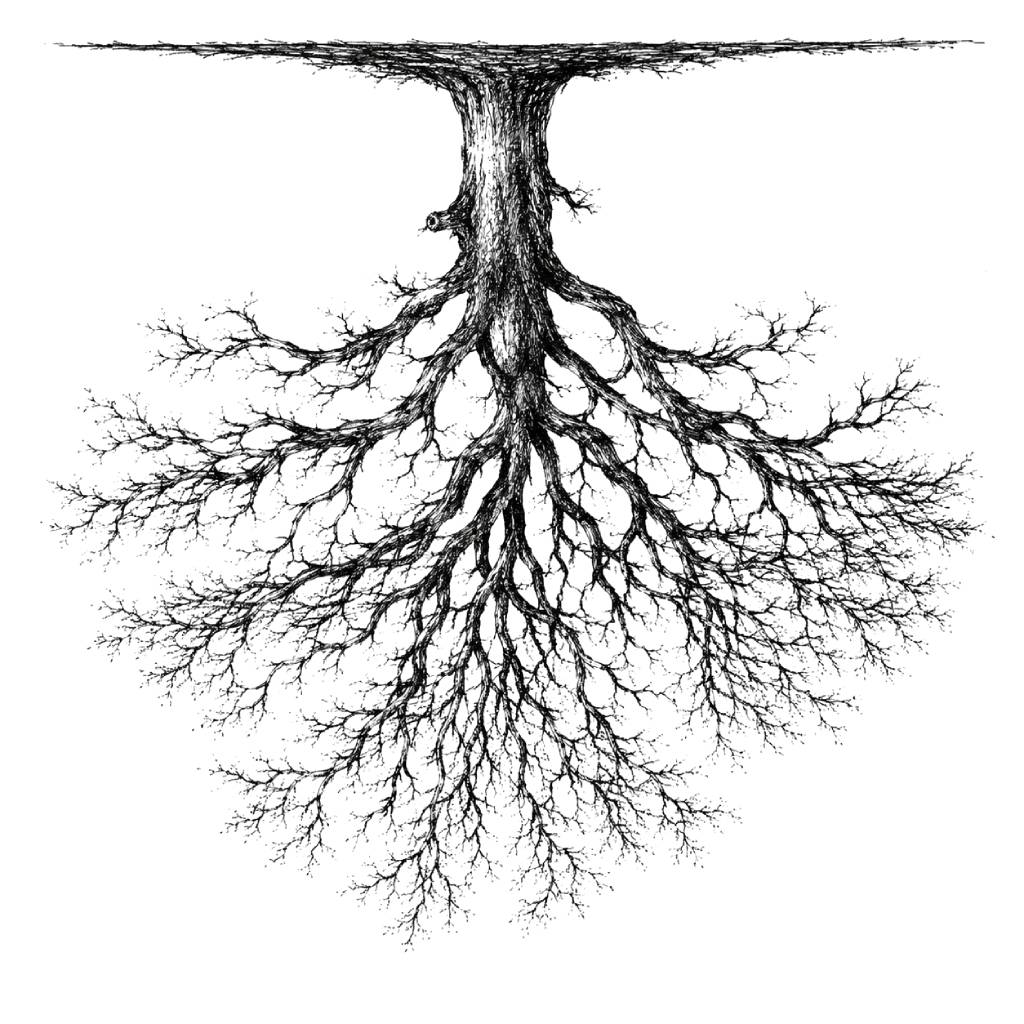 A drawing of an upside-down tree.